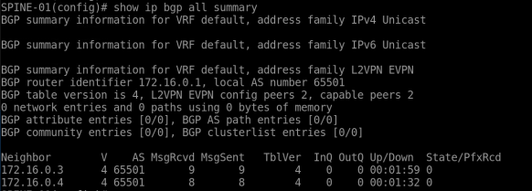 BGP-all-summary-1.1