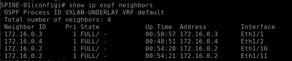 OSPF-Neighbors