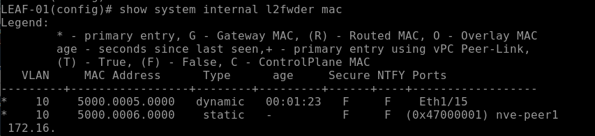 show-mac-address-table